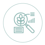 files/icons-06.png